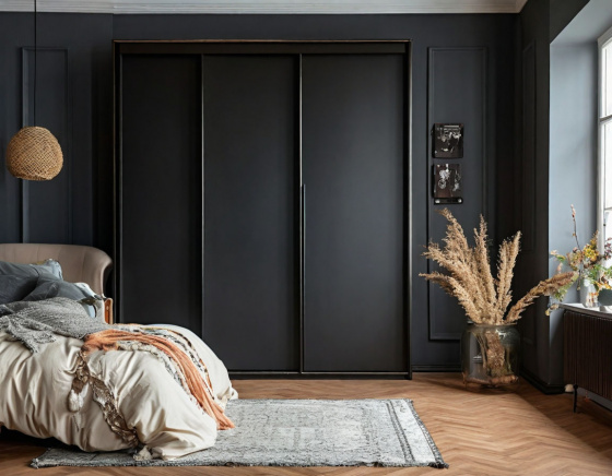 Шкаф-купе «Графит»